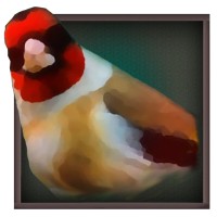 Apps.Holzheu.De