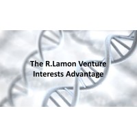 R. Lamon Venture Interests logo - Similar company to Sn Tech Sol