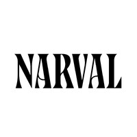 Narval logo - Similar company to Center For Advanced Analytics