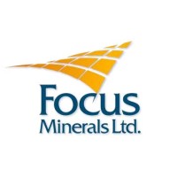 Focus Minerals logo - Similar company to Xga | Xgen Advisory