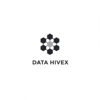Data HiveX logo - Similar company to Focus Pointanalytics