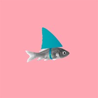 Studio Ficklefish logo - Similar company to Studio Toitoi