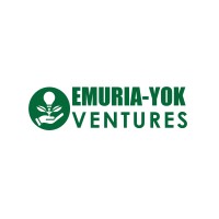EMURIA-YOK VENTURES LIMITED logo - Similar company to Bonvas Tours
