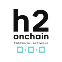 h2onchain logo - Similar company to Amorphyx Inc.