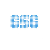 GSG Advisory Services logo - Similar company to Futurixe Llc