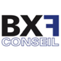 BX France - BxF Conseil logo - Similar company to Puissance Ai