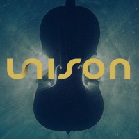 Unison Media logo - Similar company to Verismo Communications