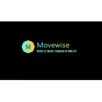 MoveWise logo - Similar company to Move Wise Inc