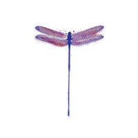 Dragonfly Consulting logo - Similar company to Haze Creative Supply