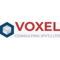 Voxel Consulting Private Limited logo - Similar company to Energy Environment Engineering Solutions
