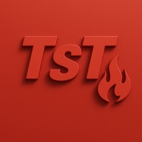 the smart trainning logo - Similar company to Workgroups Davinci