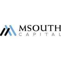 MSouth Capital logo - Similar company to Nepfin (Acquired By Zilch)