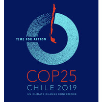 Cop25 logo - Similar company to Syah