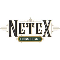 NeTex Consulting logo - Similar company to Netex Group