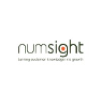 Numsight, Data Marketing Consulting logo - Similar company to Ims Consulting (Europe) Ltd