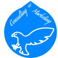 BluEagle logo - Similar company to Skanveir