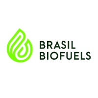 Biopalma Da Amazonia S.A. Reflorestamento Industria E Comercio logo - Similar company to Grupo Bbf