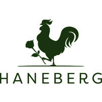 HANEBERG SÄTERI AB logo - Similar company to Network Innovation Ab