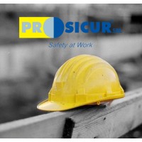 PROSICUR SRL Unipersonale logo - Similar company to Project Group Plus S.R.L. 🇮🇹