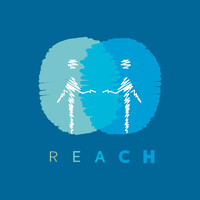 REACH logo - Similar company to Toppsy