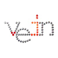 Vein Wear