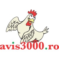 Avis 3000 logo - Similar company to Addicoo Group S.R.O.