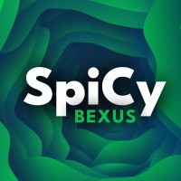 SpiCy BEXUS logo - Similar company to Rexus/Bexus