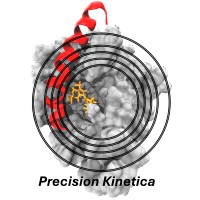 Precision Kinetica logo - Similar company to Manilla.Com