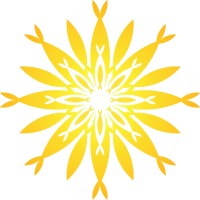 YS Kim Foundation logo - Similar company to Alpine Global Management, Llc