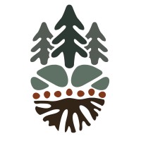 Balsam: Indigenous Reconciliation Education & Advisory logo - Similar company to Nscc Foundation