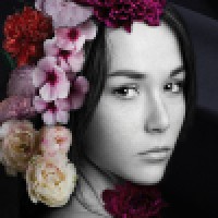 Celesty logo - Similar company to Celesty