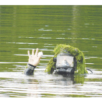 Algae logo - Similar company to Pixelnet Technologies Ltd.