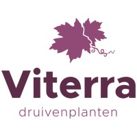 Viterra druivenplanten logo - Similar company to Beatnation.Live