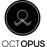 Octopus Grenoble logo - Similar company to Dcf Grenoble