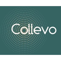 Collevo Consulting UK Ltd logo - Similar company to Fox Red Risk Solutions