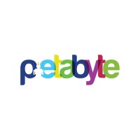 Petabyte Co., Ltd. logo - Similar company to Draytek Aust & Nz