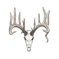 Crooked Bend logo - Similar company to Cudoo