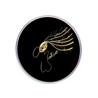 Caoticas logo - Similar company to Caotica