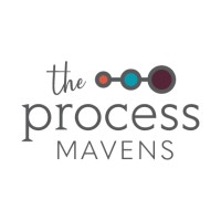 The Process Mavens logo - Similar company to The Process Fixer