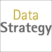 Data Strategy logo - Similar company to Project::4