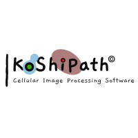 KoShiPath logo - Similar company to Keystat Consulting