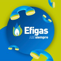 EFIGAS logo - Similar company to Toptec Sa