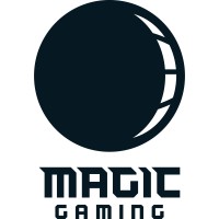 Magic Gaming logo - Similar company to Beyond Expectations, Inc.