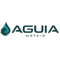 Águia Metais logo - Similar company to Schirmann