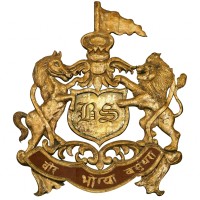 Lohagarh Organics Pvt. Ltd logo - Similar company to Dansk Pharmaceuticals