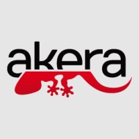 Akera Software Engineering logo - Similar company to Accademia Code