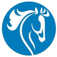 Cavalry Cleaning logo - Similar company to Ferndril Design Co.