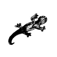 El Taller de la Salamandra logo - Similar company to La Cultora