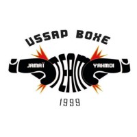 USSAP BOXE logo - Related company intelligence peer for Lega Pro Boxe