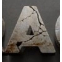VOFOX info soluation logo - Similar company to Ifuture Technologies Private Limited